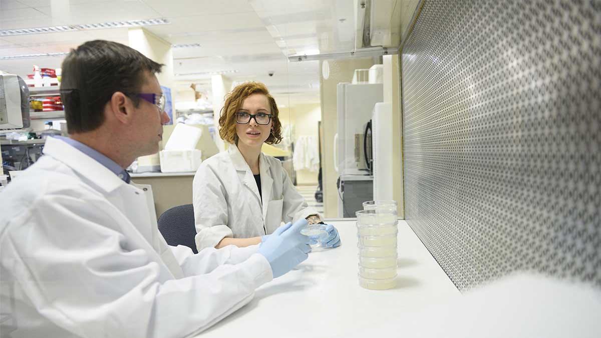 Man and women talk in laboratory with petri dishes.