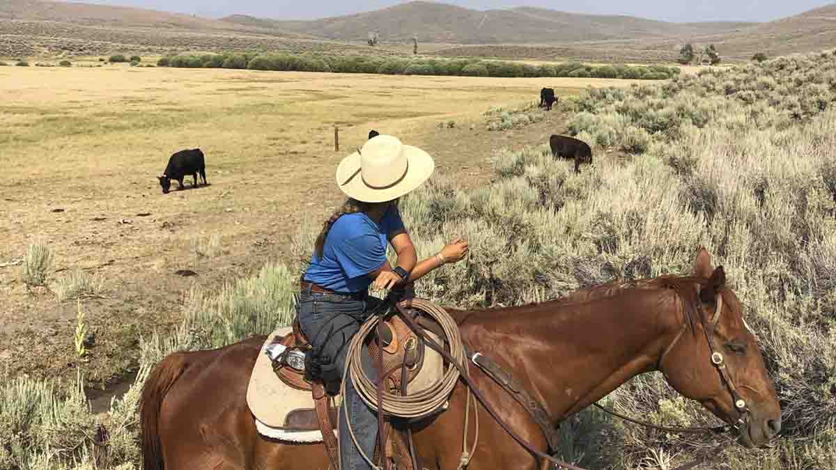 Student sits on a horse surrounded by sagebrush.