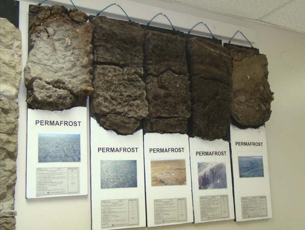 Soil Monolith Collection