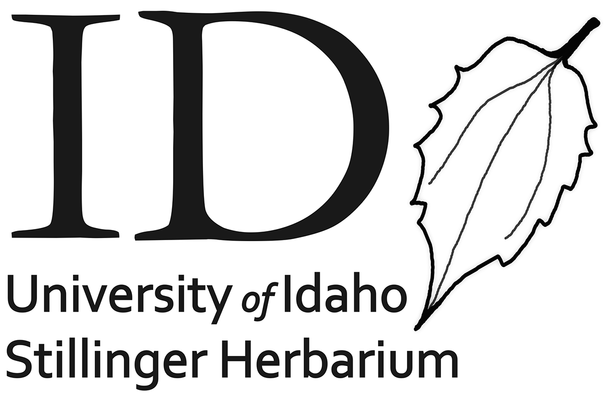 Stillinger Herbarium Logo