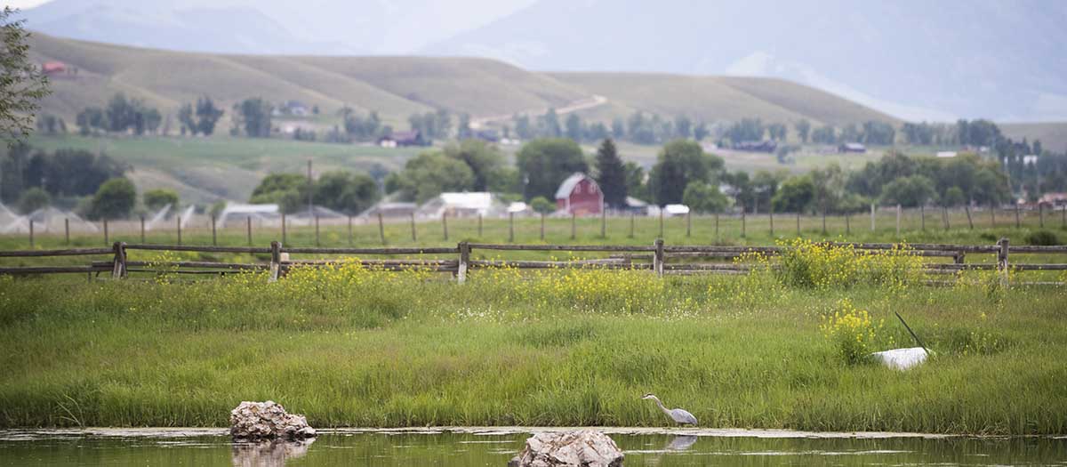 Idaho Ag Outlook Seminar graphic. Photo by Chris Burton.