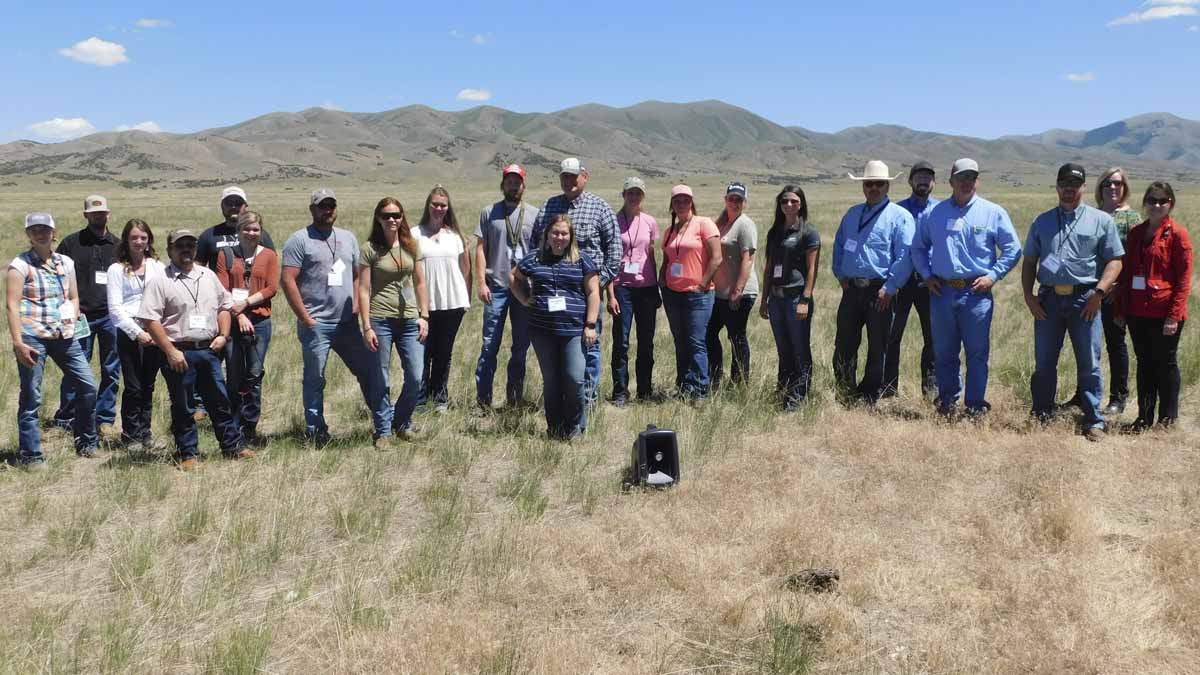 2020 Young Cattle Producer participants