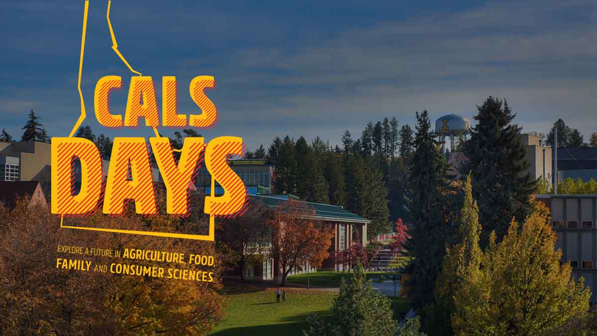 Cals Days An Event For Prospective Students Uidaho