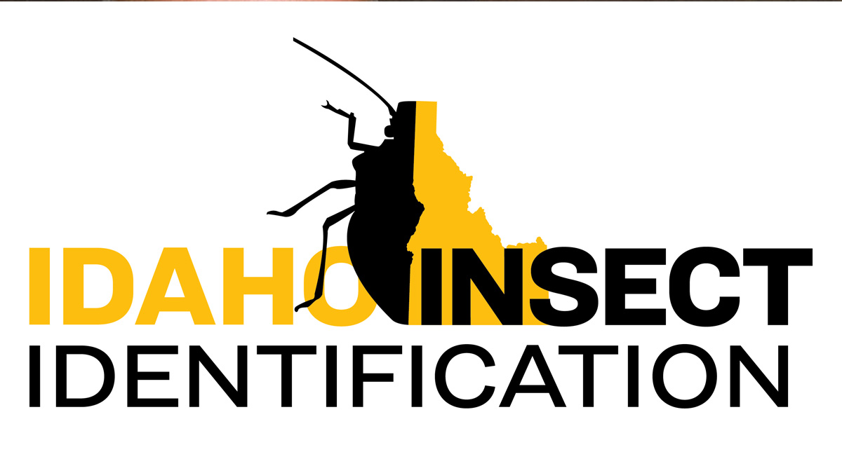Idaho Insect Identification logo