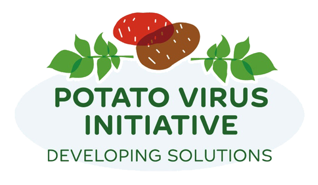Potato Virus Initiative: Developing Solutions graphic