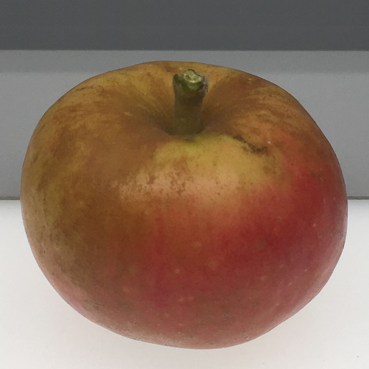 Court Pendu Plant apple