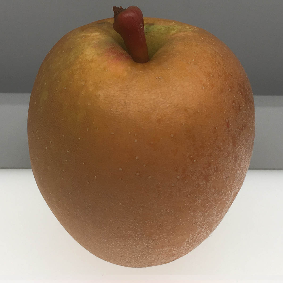 Hudson Golden Gem apple