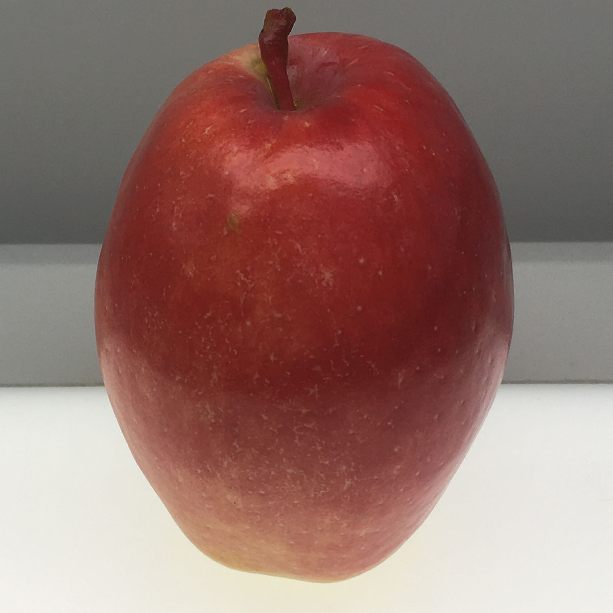 Kandil Sinap apple