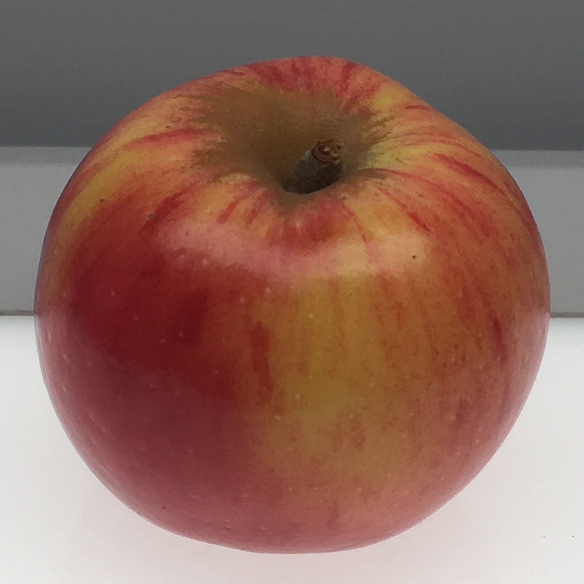 Muscat de Bernay apple