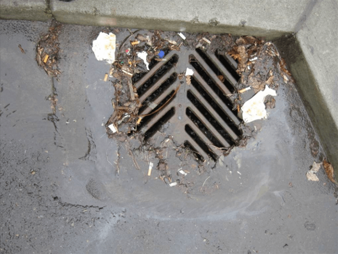Cigarette butts litter a storm drain