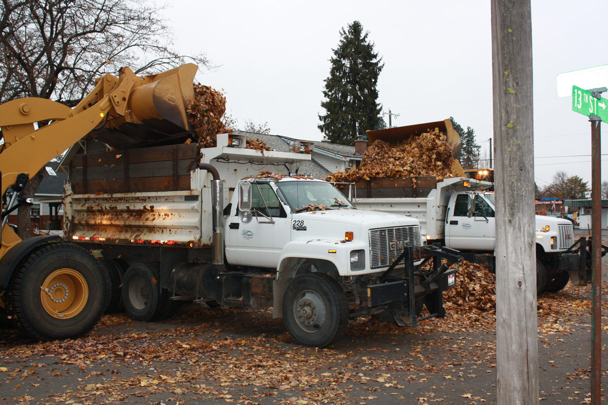 An earthmover loads leaves into the back of a truck.