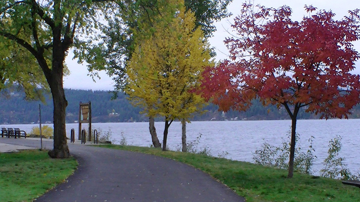 A path along Coeur d'Alene Lake, lined with trees.