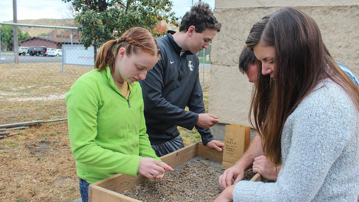 Students sorting artifacts