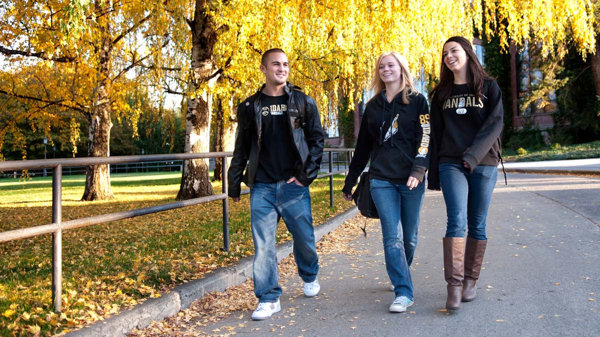 Three students walking along the road leading from the Administration Building in the fall.