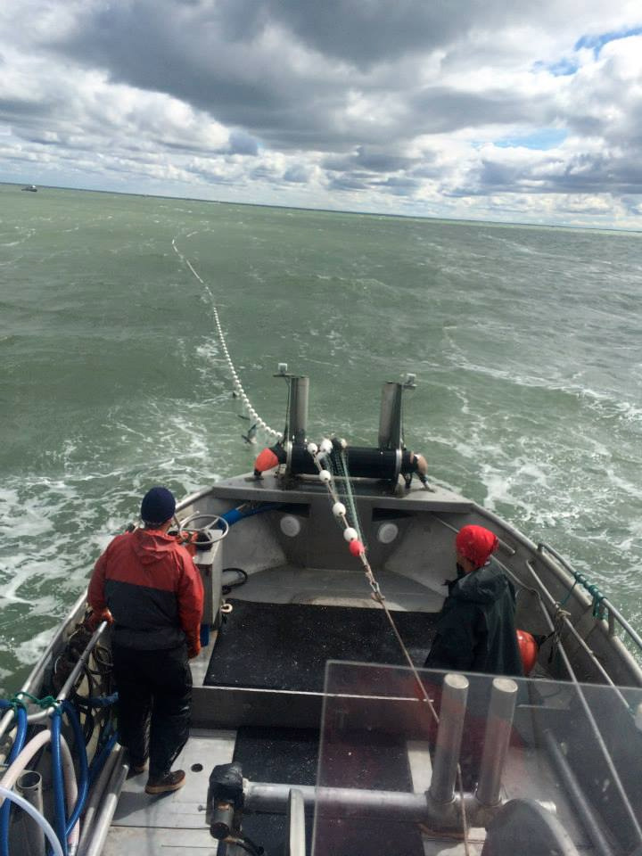 The view from the fishing boat.