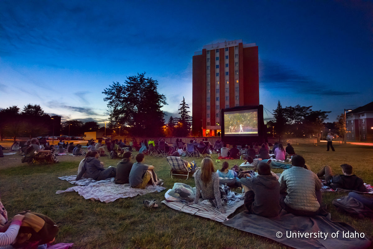 movie-on-the-lawn