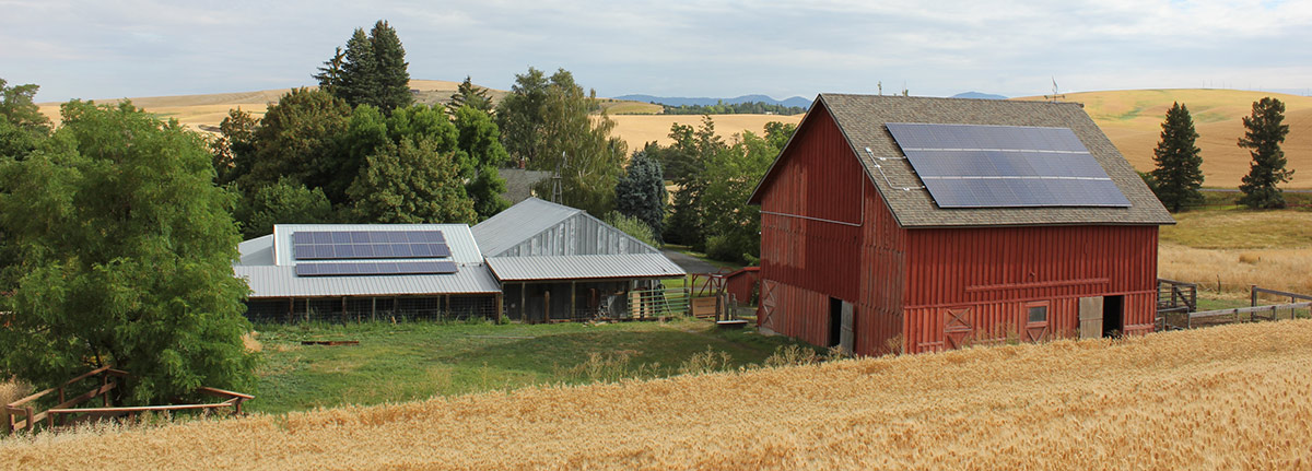 A 30-panel installation on a barn