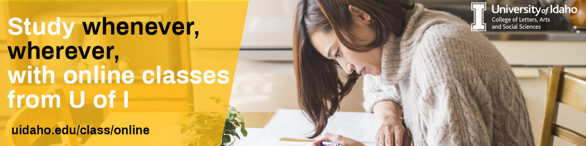 Study whenever, wherever, with online classes from U of I