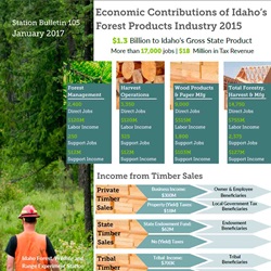 Station Bulletin 105: Economic contributions of Idaho's forest products industry 2015