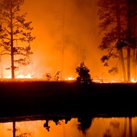 State Funding for Wildfire Suppression