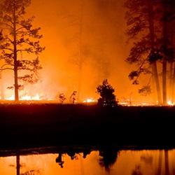 Report No. 37: State Funding for Wildfire Suppression in the western U.S.