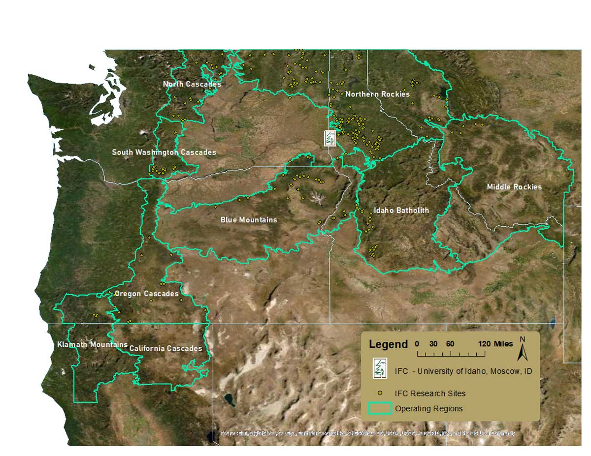 IFC research locations