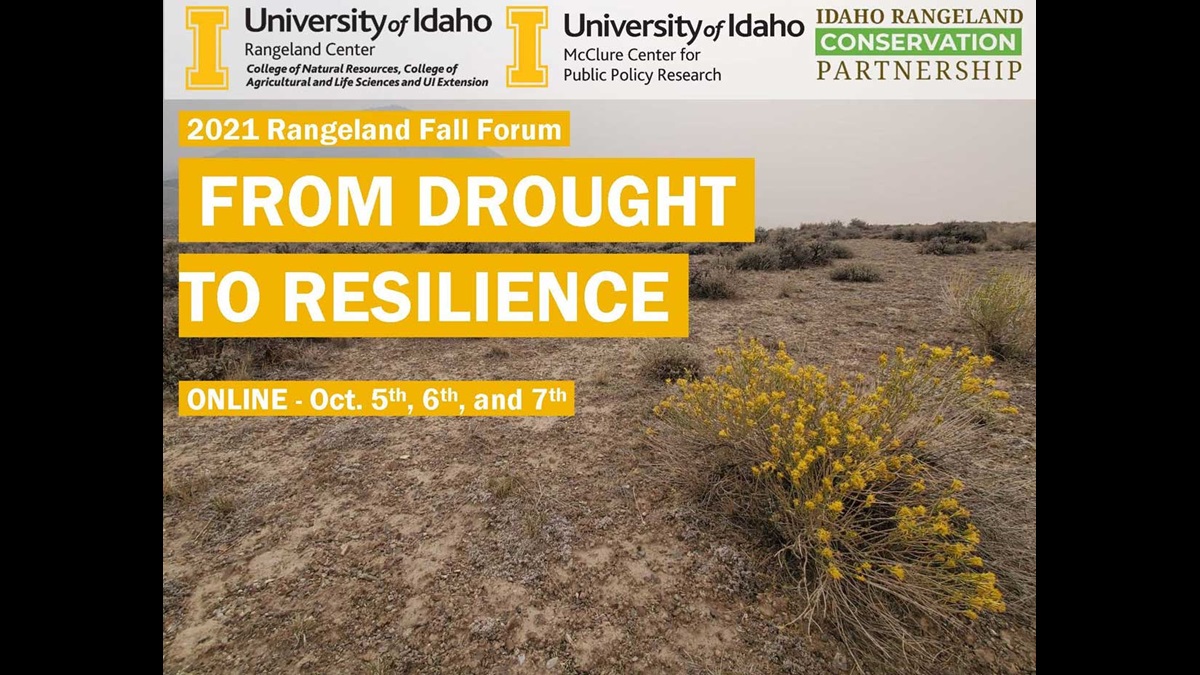 Idaho rangeland watershed