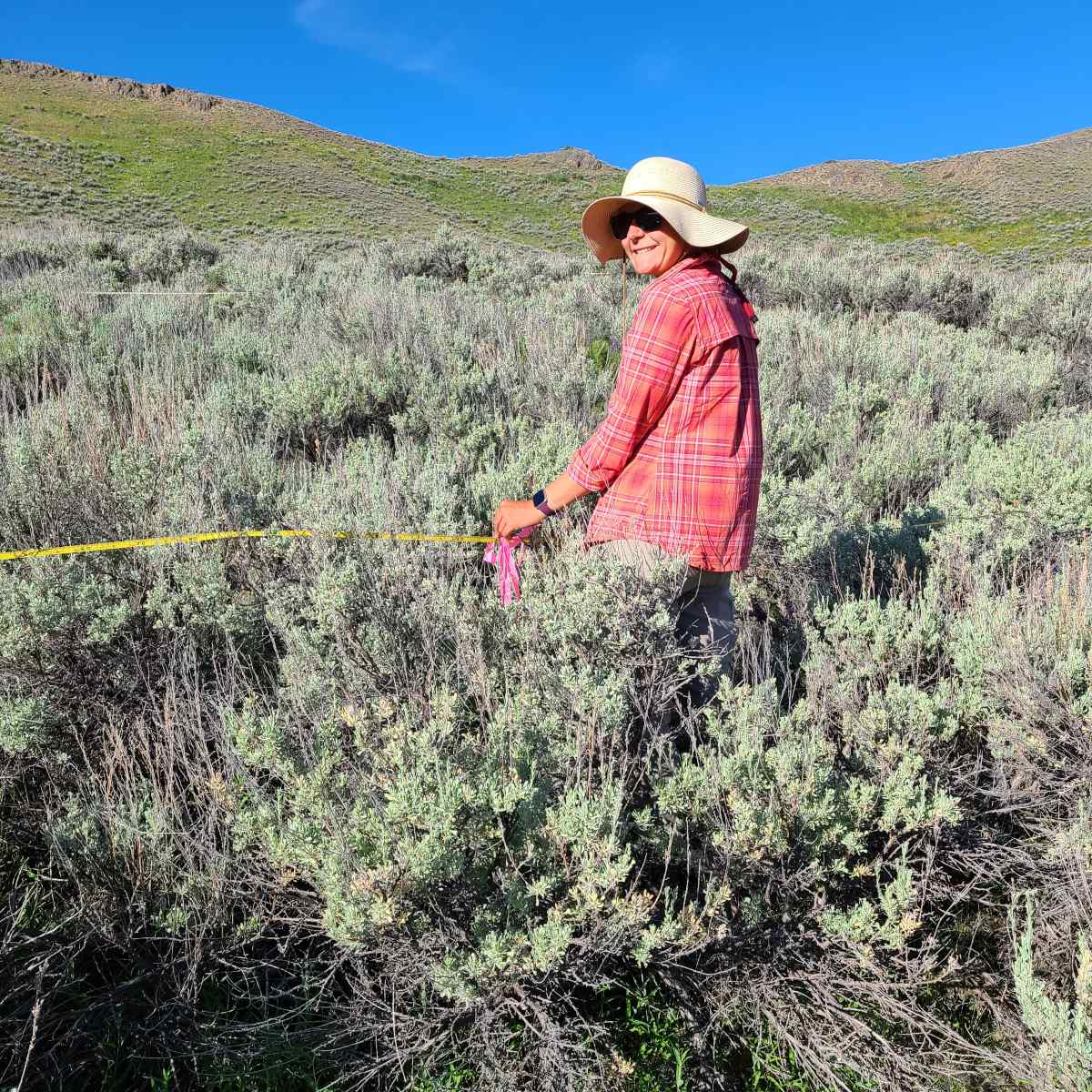 Georgia Harrison, a Ph.D. student in Plant Sciences