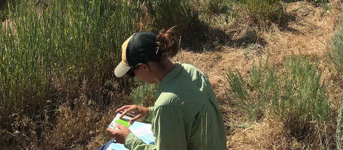 Photo monitoring involves recording data about the condition of native vegetation, presence of noxious weeds, and evidence of disturbance.
