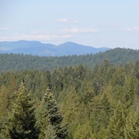 west hatter