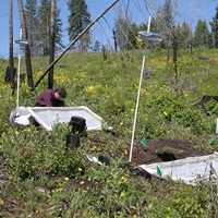 flat creek