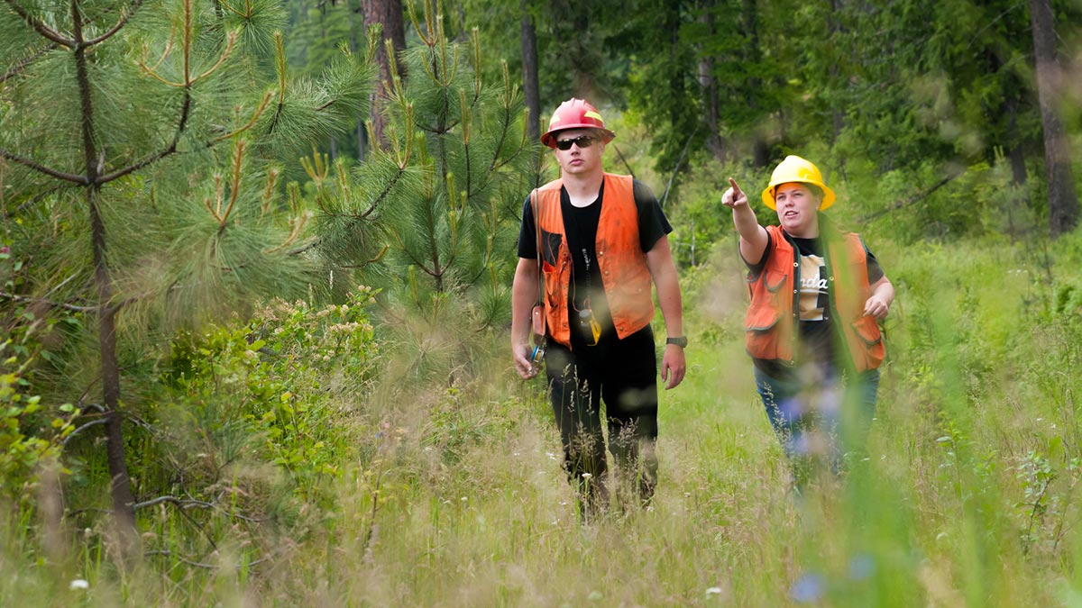 forest inventory forest inventory