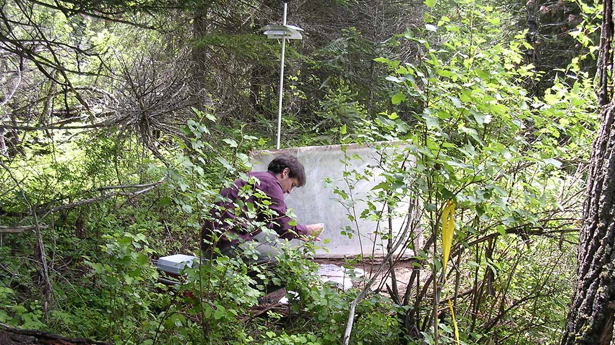 forest research forest research