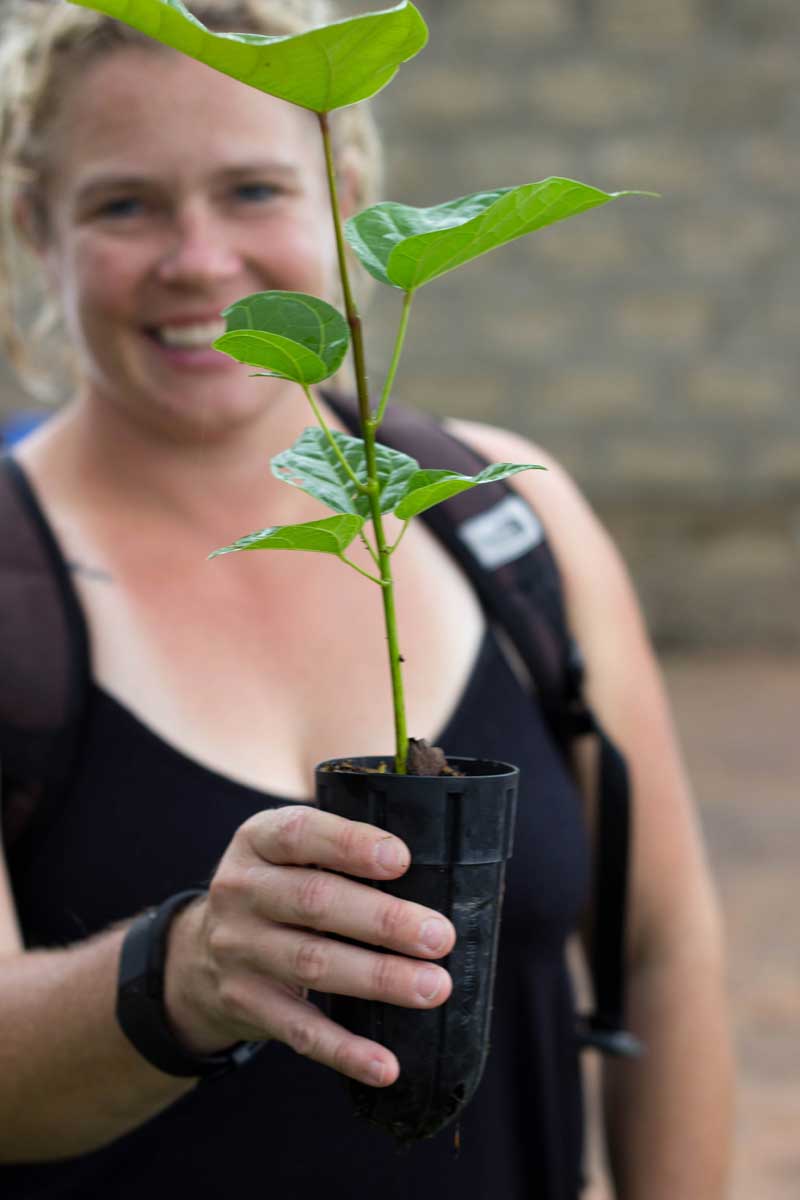 A woman holds a plant.