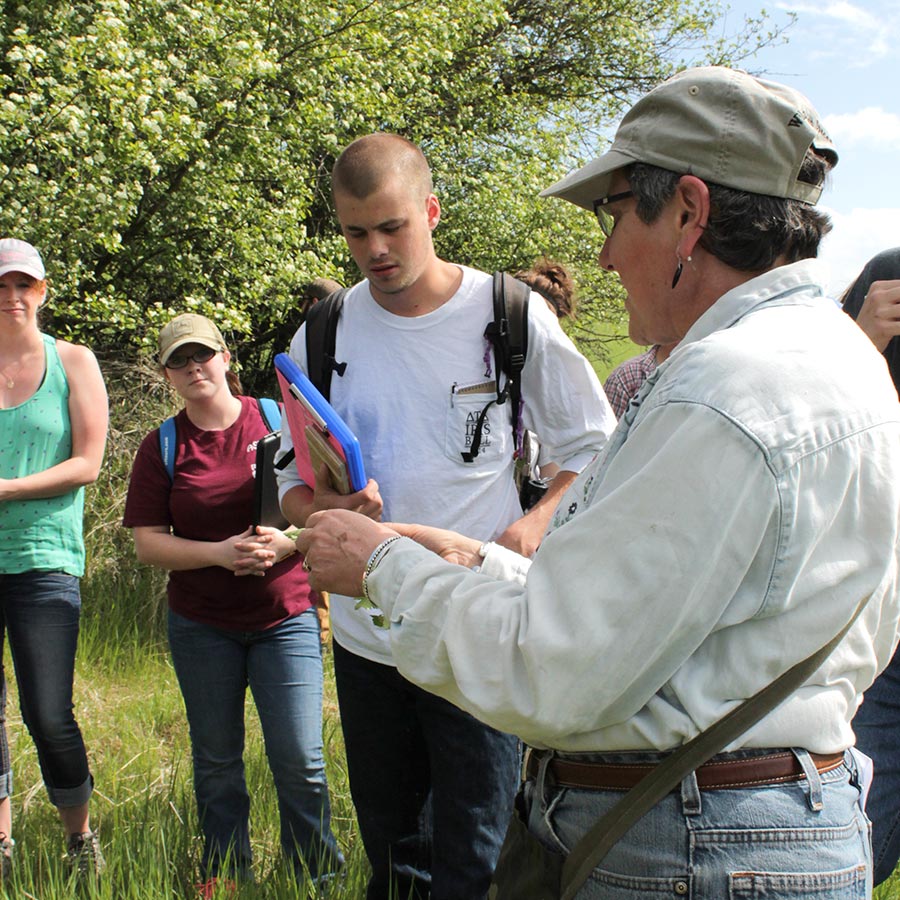 Karen Launchbaugh teaches her students in the field Karen Launchbaugh teaches her students in the field