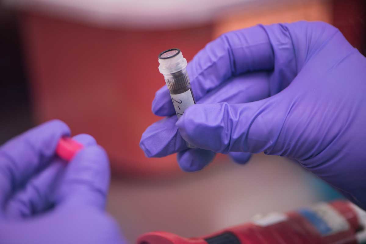 Researchers collect samples and hair to track populations of animals