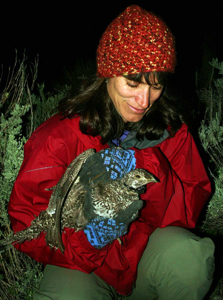 Lisette Waits works with a grouse as part of her research.