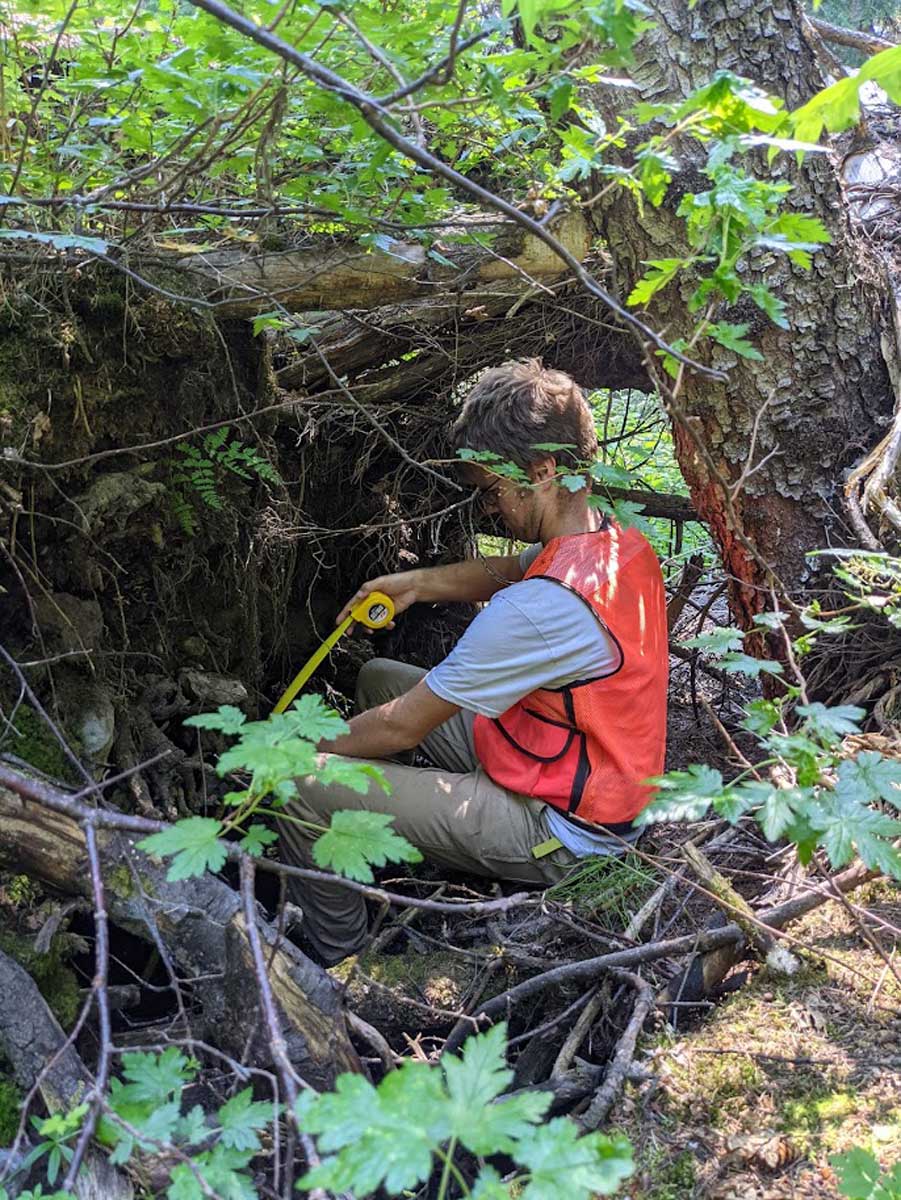Clayton Christensen measures stream sediment sources to determine sediment pathways prior to experimental timber harvest activities in Eastern Washington.