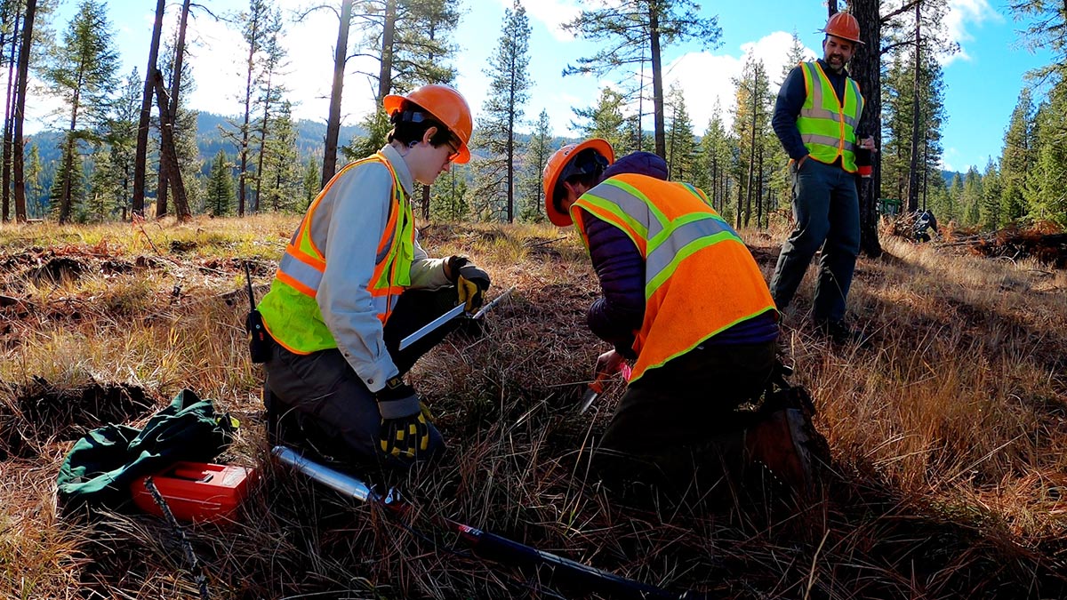 Students measuring soil compaction