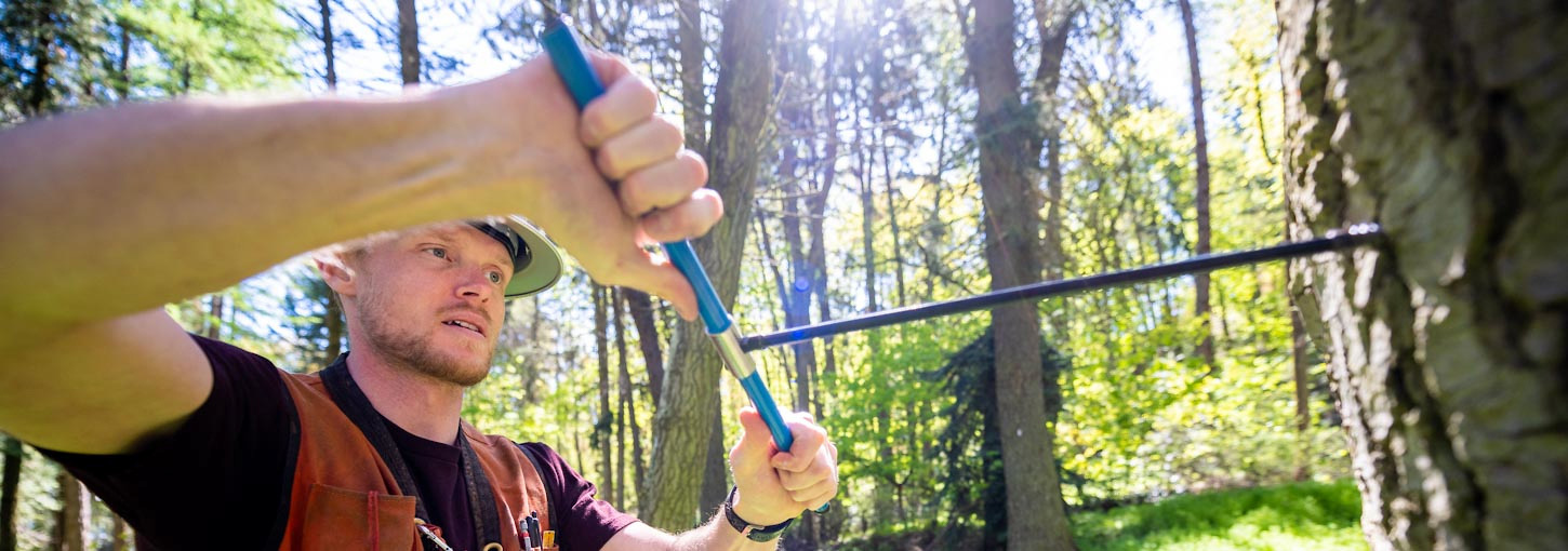 Forestry graduate Bill Perry takes a core during field sampling