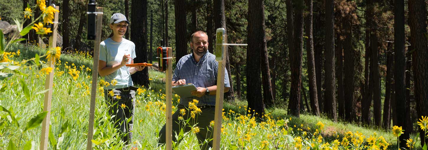What Are Two Important Natural Resources In Idaho What Are Two Important Natural Resources In Idaho