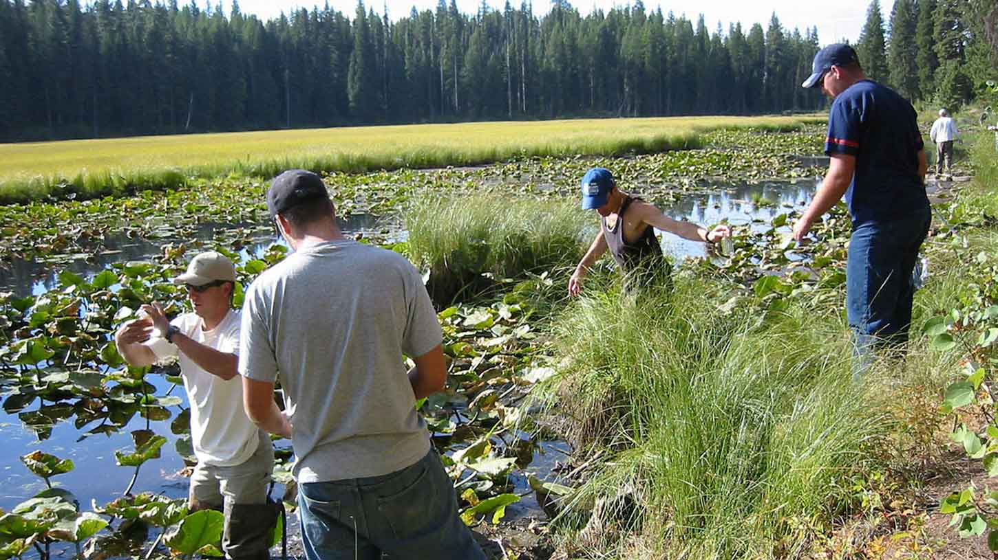 Students conduct research on a wetland area