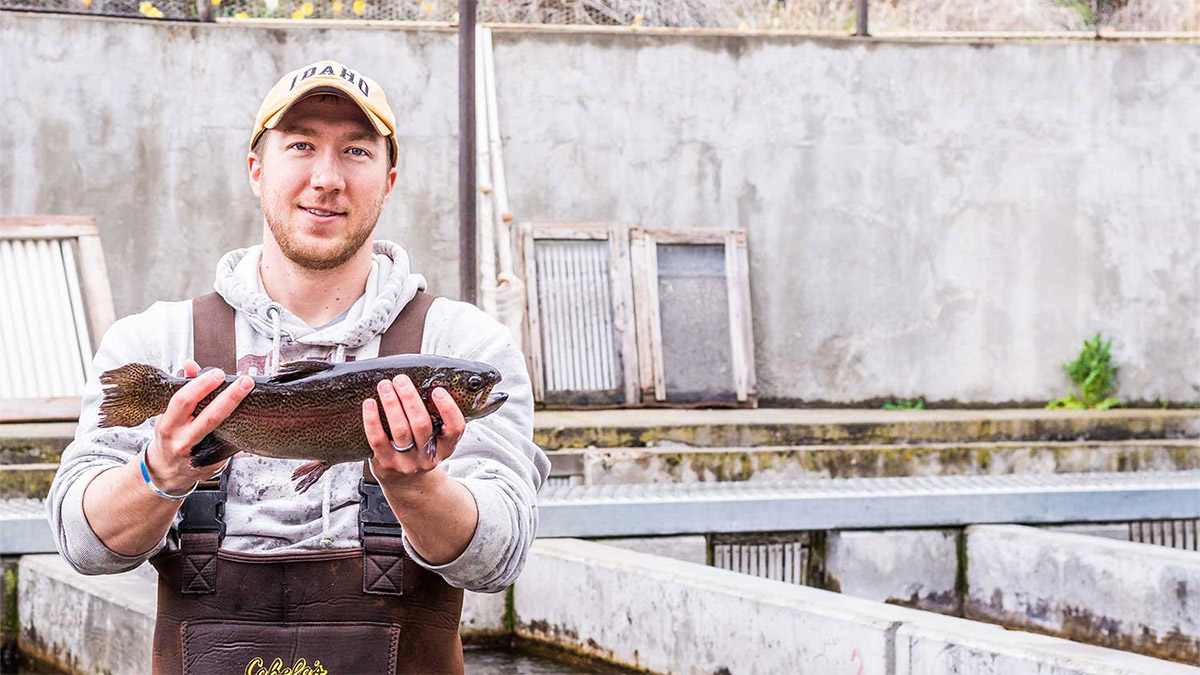 graduate with all the tools you need to become a fisheries management professional