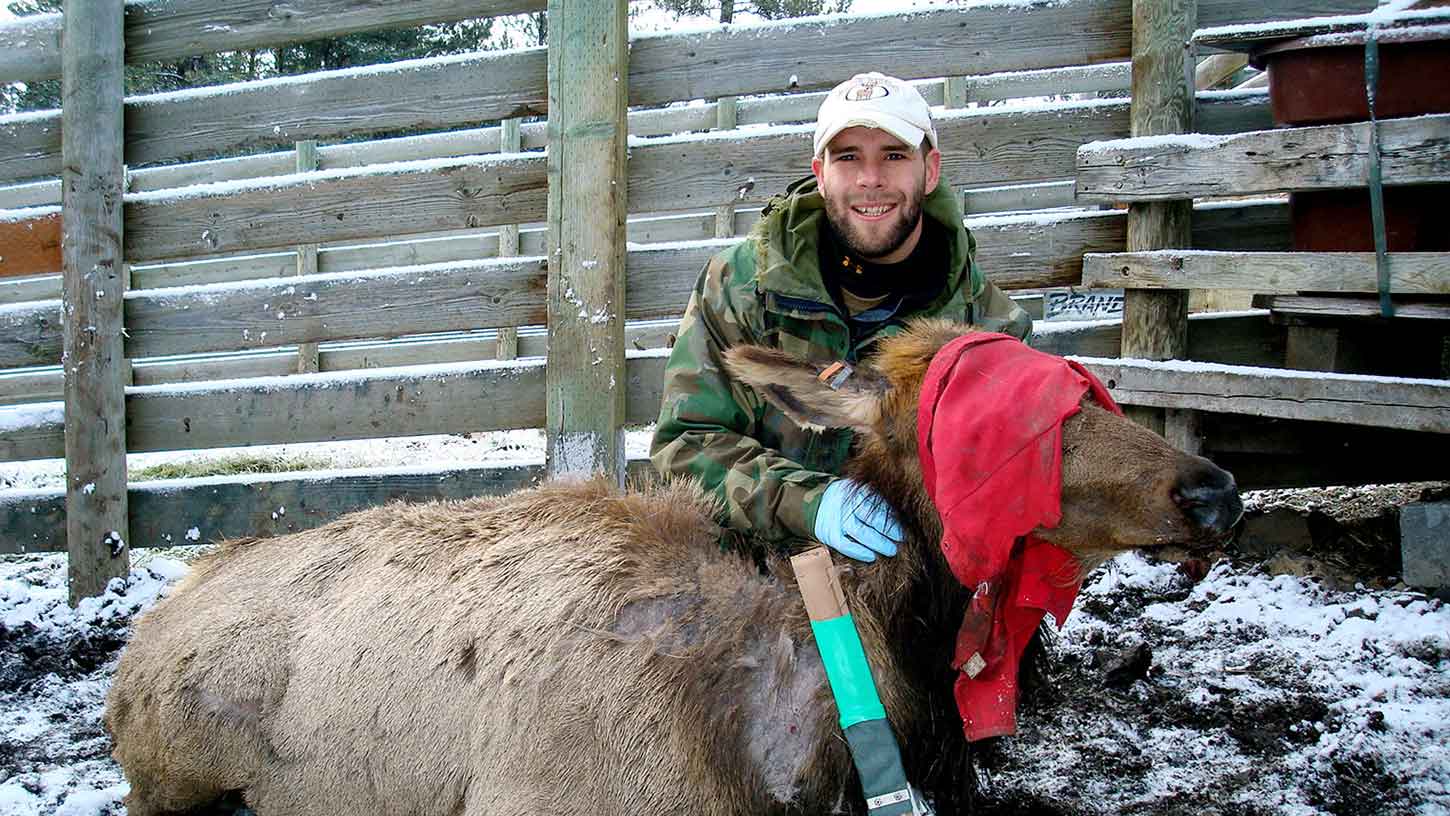 learn how to manage the world's wildlife and the issues surrounding the conservation of species