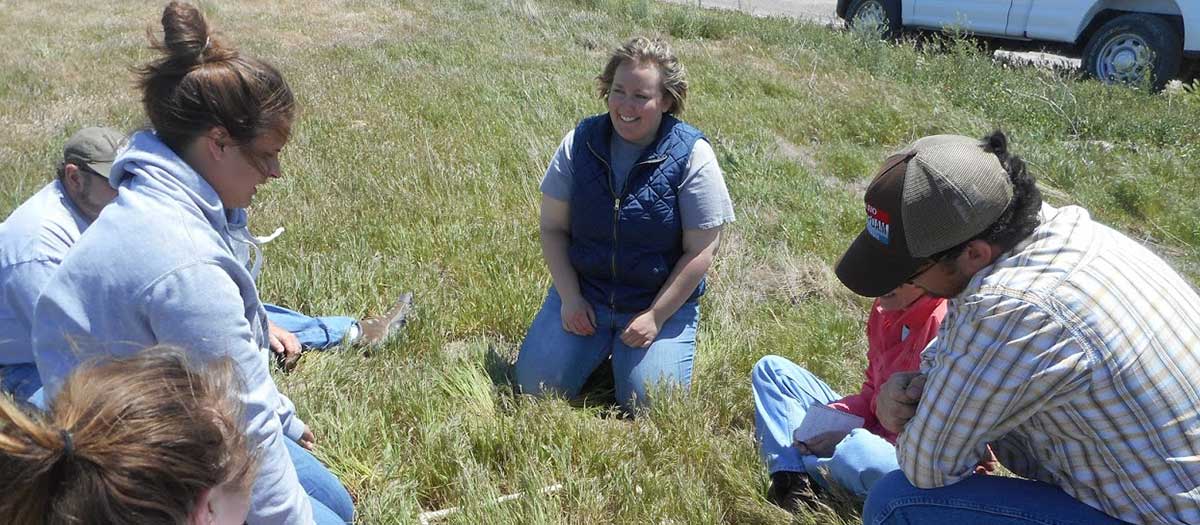 Bacteria vs. Cheatgrass Bacteria vs. Cheatgrass