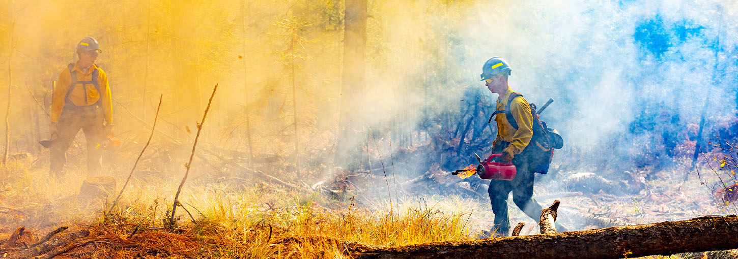 Firefighters wearing yellow firefighting clothing and hard hats walk through smoke during a prescribed burn.