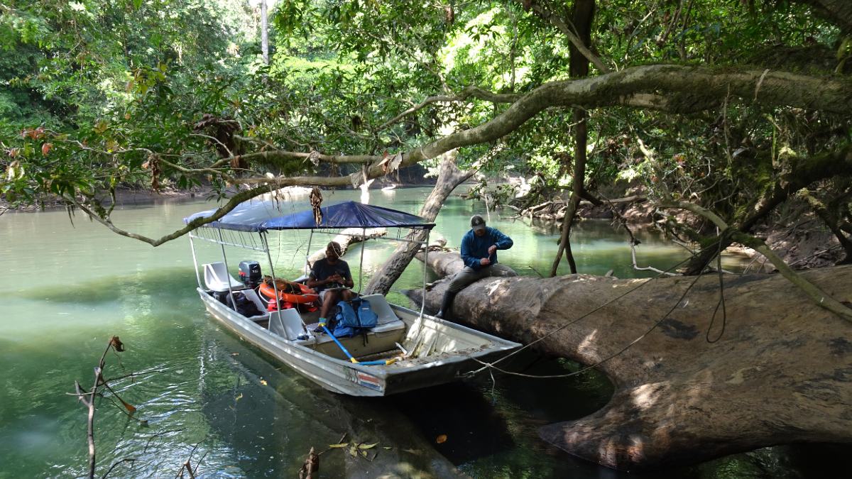2 men, one on a boat, the other on a fallen tree. 