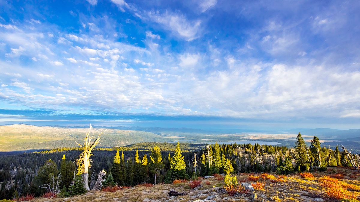 Scenic view with partly cloudy sky from mountain clearing