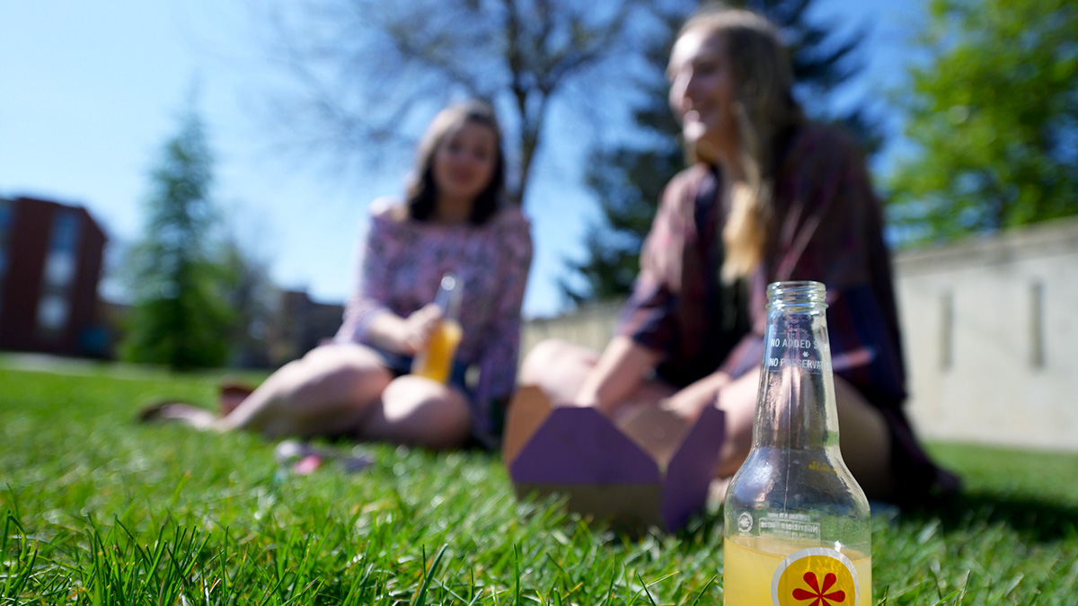 people on lawn