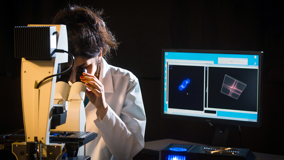 person on microscope with a screen